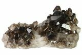 Dark Smoky Quartz Crystal Cluster - Brazil #137839-4